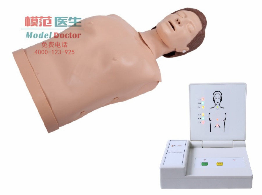 高級(jí)電子半身心肺復(fù)蘇訓(xùn)練模擬人
