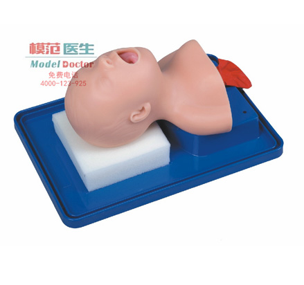 新生兒氣管插管訓(xùn)練模型