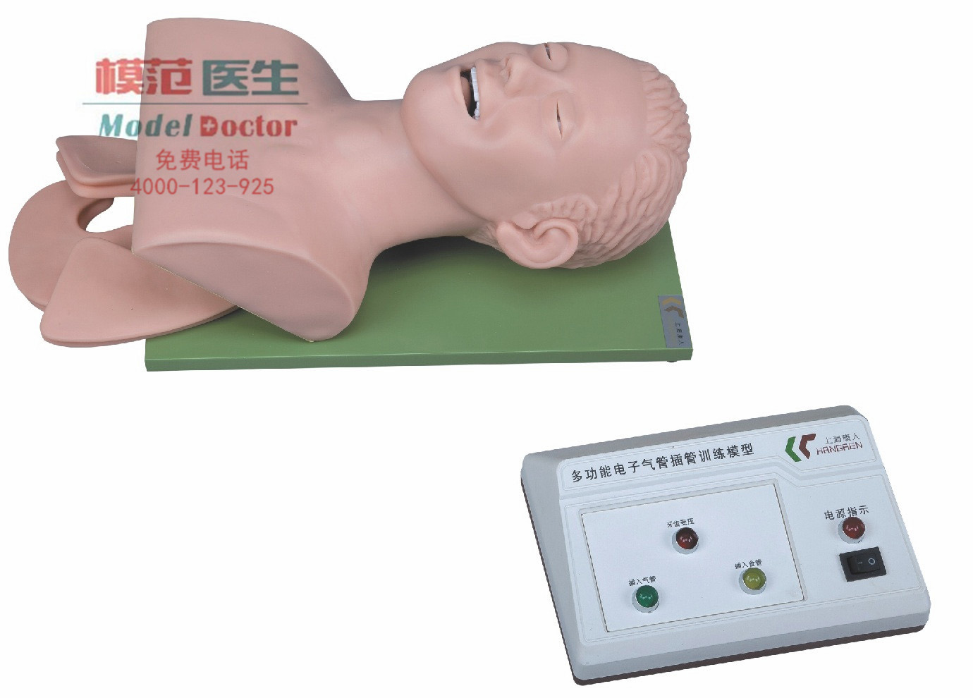 電子人體氣管插管訓(xùn)練模型