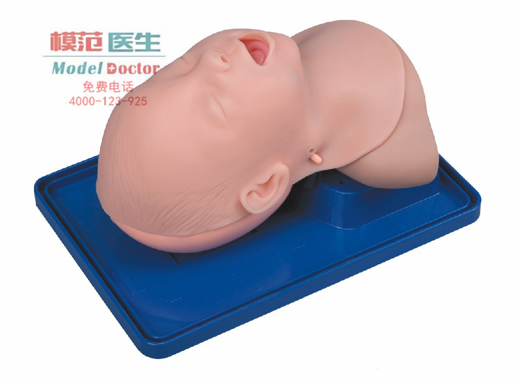 電子人體氣管插管訓(xùn)練模型