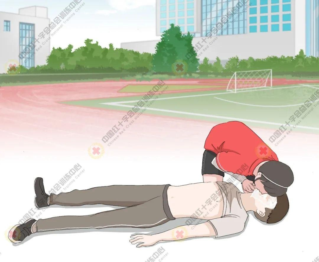 心肺復蘇模擬人